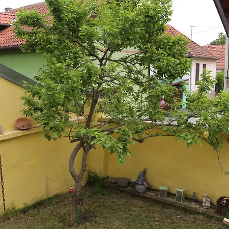 Sokak 8 Apartment Sremski Karlovci