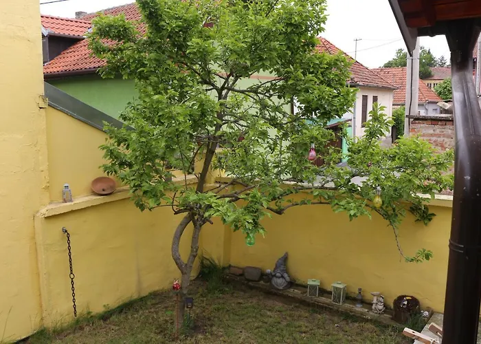 Sokak 8 Apartment Sremski Karlovci