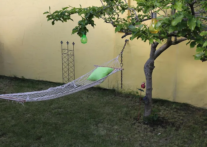 Sokak 8 Sremski Karlovci